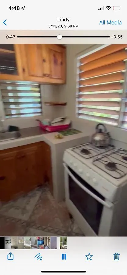 Froggy Guest House Negril 0*,  Jamajka